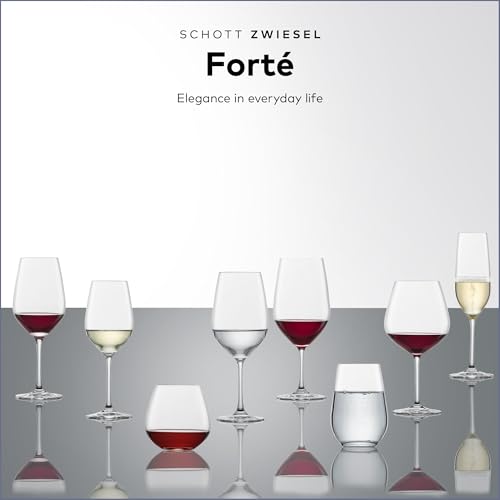 SCHOTT ZWIESEL Forté Champagne Flute (Set of 6), Champagne Glasses with Effervescence Point, Dishwasher-Safe Machine-Made ...