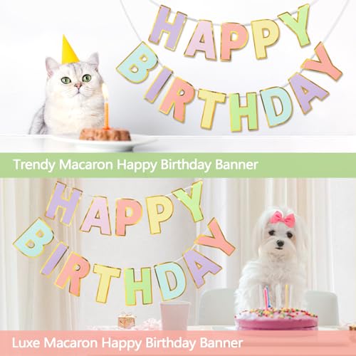 LITAUS Happy Birthday Banner & Sign - 9ft Pre-Strung No Assembly | Pastel Birthday Decorations for Women, Girls, Boys, Adu...