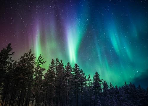 BELECO 8x6ft Fabric Night Forest Northern Lights Backdrop Pine Trees Forest Aurora Borealis Starry Sky Stars Background Po...
