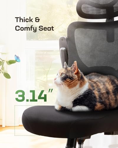Marsail Ergonomic Office Chair: Office Desk Chair with High Back Mesh and Adjustable Lumbar Support Rolling Work Swivel Ta...