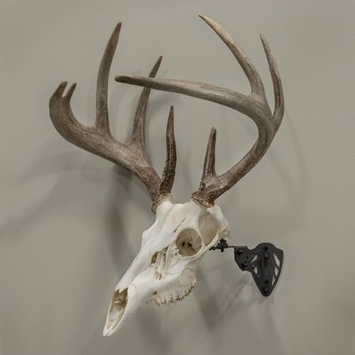Allen Company EZ Mount Trophy Skull Hanger, Black