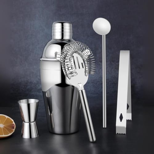 Cocktail Shaker Set Bartender Kit- 5pcs 550ml Professional Bar Tool