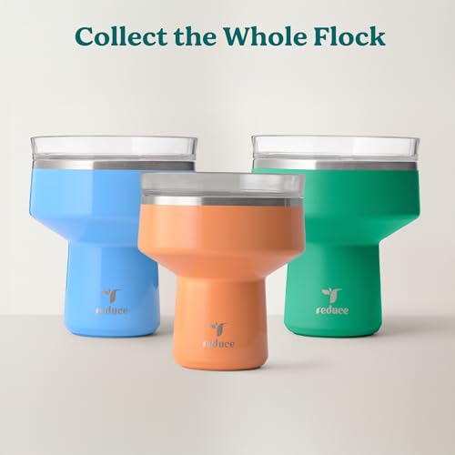 REDUCE Saltini 16 oz Cocktail Tumbler - Insulated Margarita Tumbler with Lid - Keeps Drinks Cold for 10 Hours - 360 Sippab...