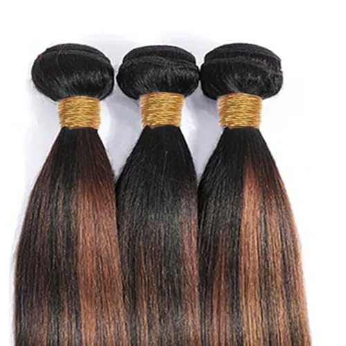 Hair P1B30 Ombre Straight Human Hair Bundles 1B30 Brown 3 Bundles 24 26 28 Inch Two Tone Black Mixed Brown Highlight