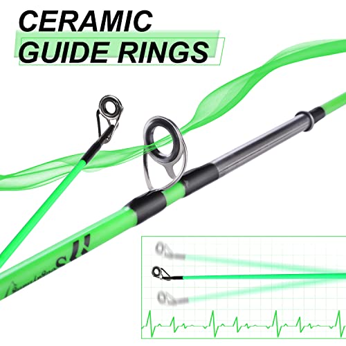 Sougayilang Fishing Rod, 2-Piece Composite Graphite & Glass Blanks Saltwater Trolling Rod Offshore Surf Fishing Pole with ...