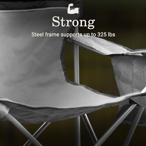 Coleman Portable Camping Chair with 4-Can Cooler, Cushioned Seat & Back with Side Pockets & Cup Holder, Carry Bag Include...