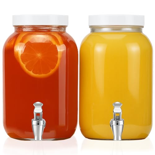 1 Gallon Large Glass Drink Dispensers for Parties, Glass Iced Beverage Dispensers with Spigot, Reusable Water Dispenser Co...