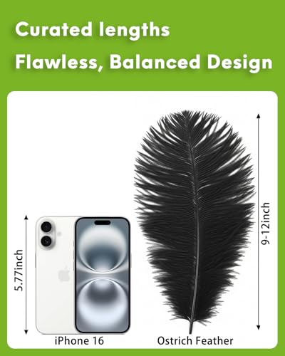 NEWONG 30pcs Black Ostrich Feathers Natural Bulk 9-12inch(23-30cm) Vase Craft Wedding Home Party Centerpieces Christmas Da...