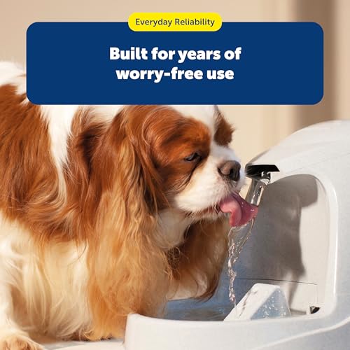PetSafe Drinkwell Fountain Premium Activated Carbon Filters - Better Hydration Choice - Long-Lasting Purity - Odor-Free Dr...