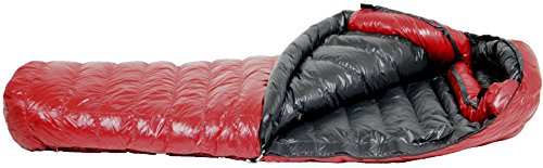 Western Mountaineering Alpinlite 침낭: 20도 다운