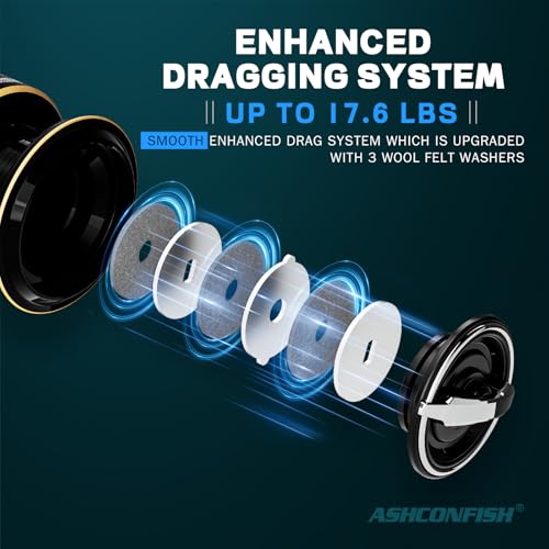 Ashconfish DF Series Spinning Reel Saltwater & Freshwater Fishing Reel, Lightweight Nylon/Fiberglass Frame, 7+1BB, 5.2:1 G...