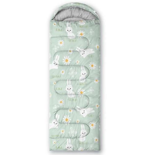 AILONEN Cartoon Car Sleeping Bags,Lightweight & Waterproof,3 Season Warm & Cool Weather,Cute Stars Printed Vehicles Transp...