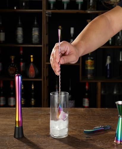Cocktail Shaker Set - 13-Piece Bar Accessories Kit w/Weighted Boston Shaker, Strainer, Jigger, Muddler,Mixing Spoon and Mo...