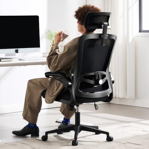 Fizzin Ergonomic Office Chair, 400 LBS Computer Chairs with Adjustable Lumbar Support, Breathable Mesh Desk Chair Ergonomi...