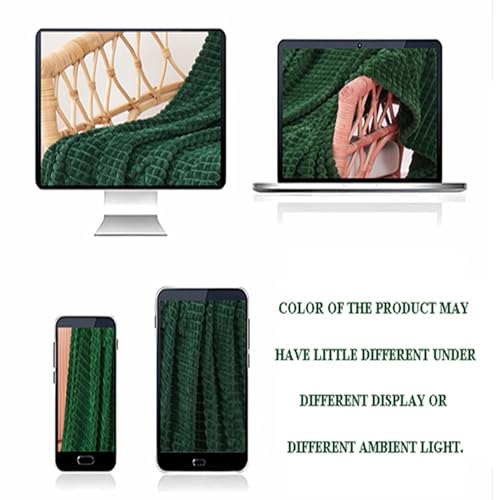 Puncuntex Green Throw Blanket 50"×60" Decorations Fleece Super Soft Plush Fuzzy Cozy Blanket with Square 3D Jacquard Grid ...