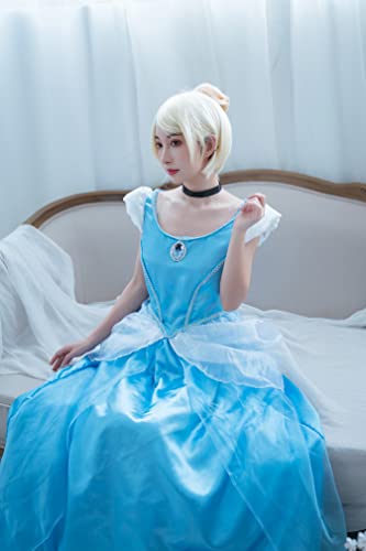 Disguise womens Cinderella Costume, Official Disney Princess Cinderella Deluxe Dress Adult Sized Costumes, Blue, Medium 8-10 US