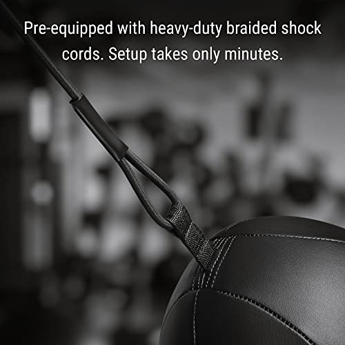 Hayabusa Double Ended Bag Classic Sphere - Black, 12 Inches