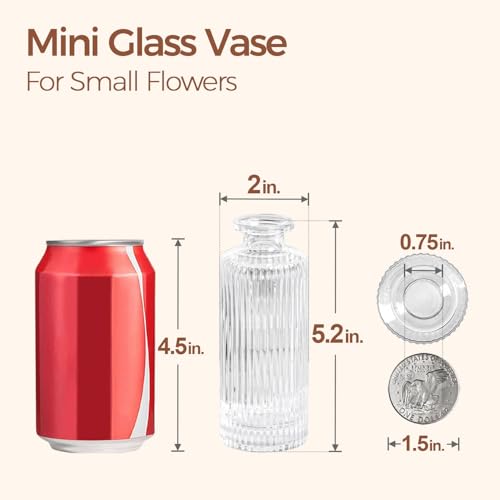 ComSaf Small Vases for Flowers Mini Clear Glass Bud Vases in Bulk, 5.2 inch Tall Mini Flower Vase, Vases for Centerpiece, ...
