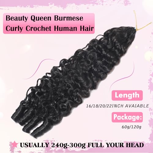 Beauty Queen 3C4A Burmese Curly Human Crochet Hair 18inch 60g Knotless Pre-Separated Feather Crochet Real Human Hair Lightweight Reusable Remy Hair Extensions for Women Natural Black Color