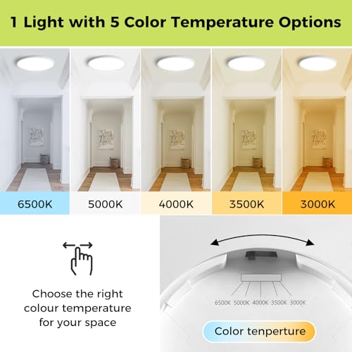 hepside 2Pack LED Flush Mount Ceiling Light Fixture, 12Inch 24W, Dimmable&3000K/3500K/4000K/5000K/6500K Adjustable Low Pro...