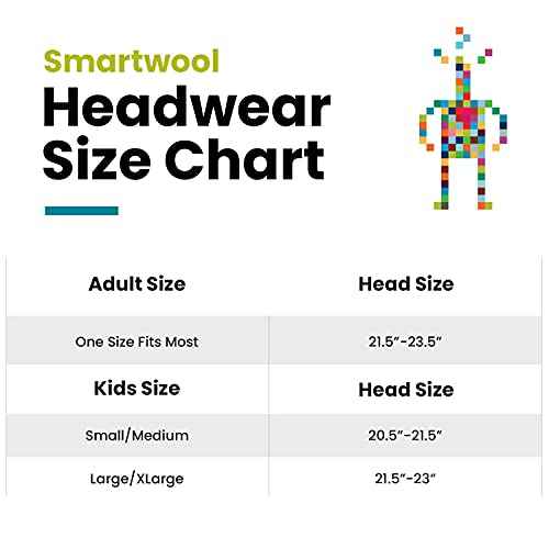 Smartwool Men's Reflective Lid