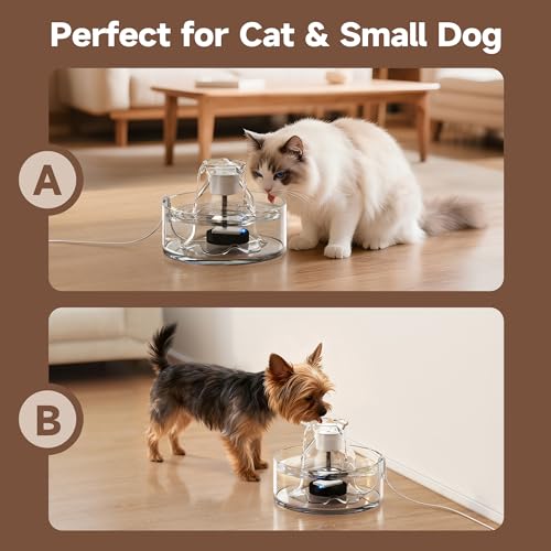 PETIMI Glass Cat Water Fountain, 2.7L/91 oz Ultra-Quiet Pet Fountain, Automatic Water Dispenser for Cats & Small Dogs, Spi...
