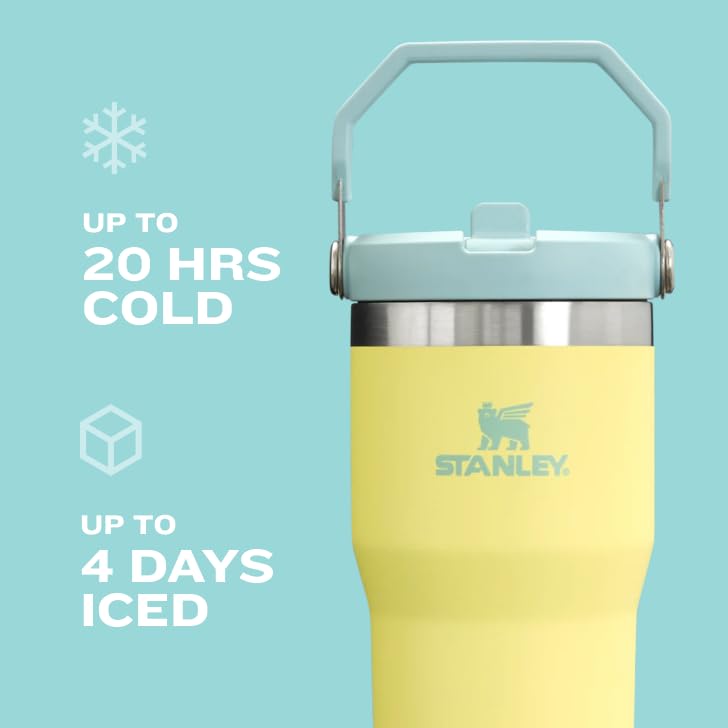 Stanley IceFlow Flip Straw Tumbler with Handle 20 oz | Twist On Lid and Flip Up Straw | Leak Resistant Water Bottle | Insu...