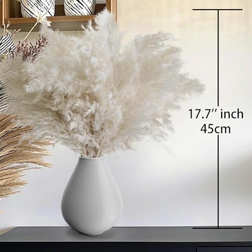 40PCS White Pampas Grass for Home Decor - Elegant Boho Decor - Premium Quality Pampas Grass Stems - Perfect for House, Nur...