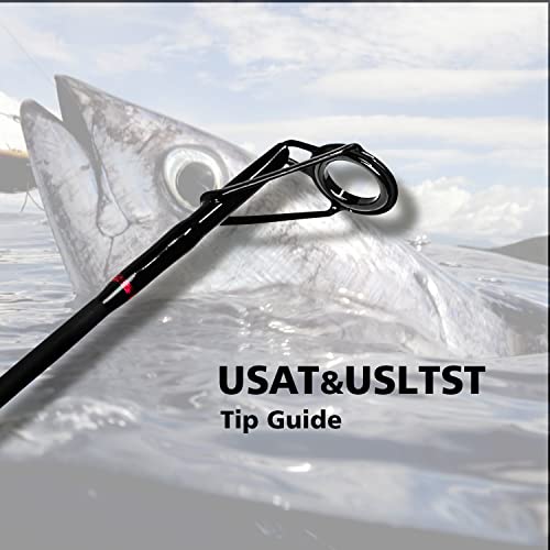 Fiblink Surf Spinning Fishing Rod 2-Piece/4-Piece Graphite Travel Fishing Rod