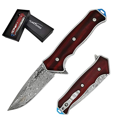 ALBATROSS Premium Damascus Folding Knife - EDC Pocket Knife with Cocobolo Wood Handle, 3.5" Blade, Liner Lock System - Out...