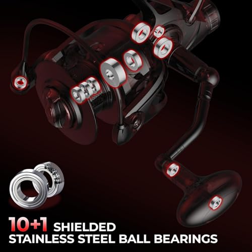KastKing Sharky Baitfeeder III Spinning Reel 10+1 Shielded Stainless Steel BB - Carbon Fiber Drag for Live Liner Bait Fish...