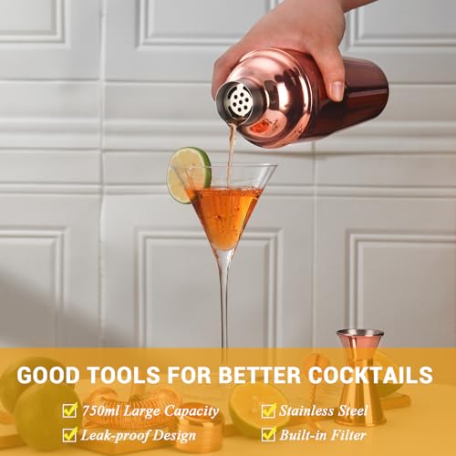 Bartender Kit Cocktail Shaker Set, Stainless Steel Cocktail Kit with 12 Piece Bar Accessories, 25oz Shaker Bar Set Drink M...