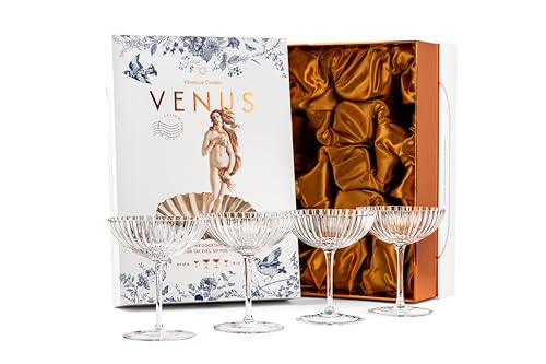 Venus Seashell Coupe Cocktail Glasses | Set of 4 | 8 oz Crystal Ribbed Champagne Saucers for Drinking P-Star and Espresso ...