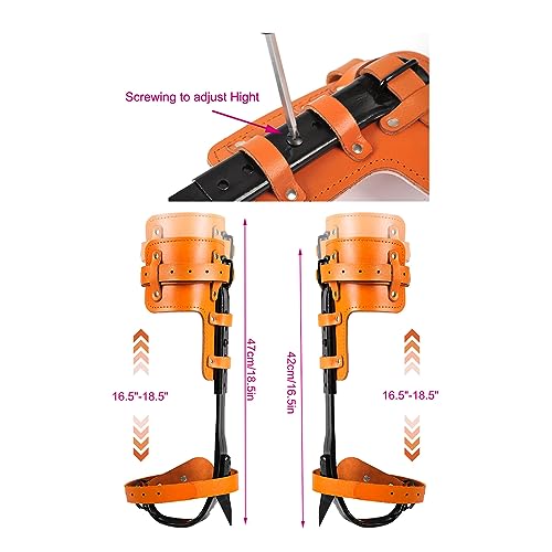 Rohseson Tree Climbing Gear, Cowhide Leather Tree Climbing Spikes Set, Height-Adjustable Tree Climbing Spurs for Tree Wor...