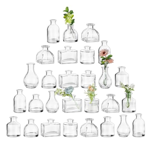 Glasseam Clear Glass Vases for Centerpieces: Mini Flower Vase Set 28Pcs Bud Vases in Bulk - Modern Small Vases for Home Ro...