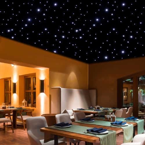 CAIHAOA 19.7ft x 9.8ft LED Star Backdrop with 360 Beads, Foldable LED Starry Night Sky Velvet Curtain, Galaxy Lighting Bac...