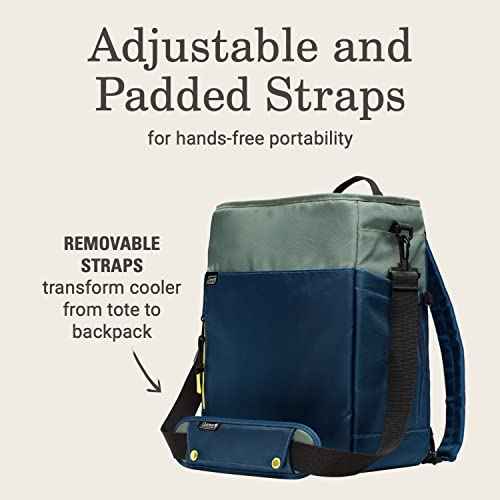Coleman Morph Series Insulated Soft Coolers, Leak-Proof Portable Cooler 6/16/24 Can Capacity with Ice Retention, Cooler for Beach, Picnic, Camping, Tailgating, Groceries, Lunches, & More