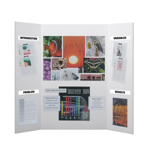 Flipside Products 36” x 48” Project Boards for Presentations, Science Fair, School Projects, Event Displays and Trifold Pi...
