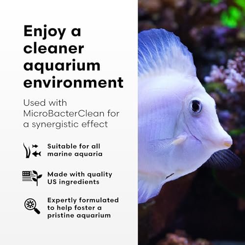 Brightwell Aquatics - Razor Marine - Unique Systemic Fish Tank Cleaner for Marine Aquariums - Aquarium Water Treatments, ...