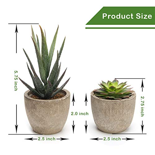 Coitak Artificial Succulent Plants Potted, Assorted Decorative Faux Succulent Potted Fake Cactus Cacti Plants with Pots, S...