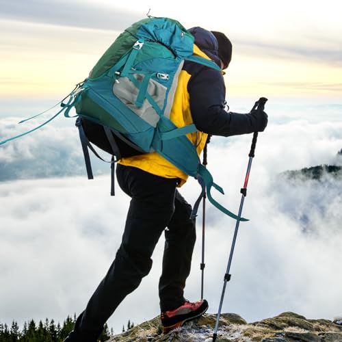 PARAPOGEE 50L Hiking Backpack, Lightweight Hiking Daypack with Waterproof Rain Cover, Outdoor Travel Backpack for Climbing...
