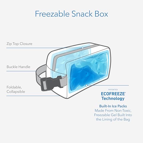 PackIt Freezable Snack Box, Triangle Stripes, Built with ECOFREEZE Technology, Collapsible, Reusable, Zip Closure with Buc...