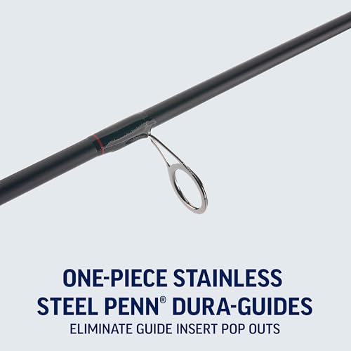 Penn Fierce IV Spinning Reel and Fishing Rod Combo