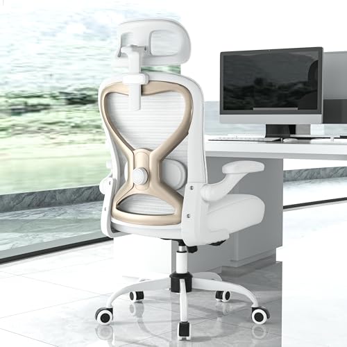 Ergonomic Office Chair for Back & Neck Pain Relief, Virgin Foam Seat, 2D Adjustable Lumbar & 3D Headrest, Tilt & Rock for ...