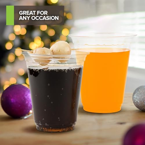 Stock Your Home 12 oz Clear Commercially Compostable Cold Cups (100 Pack), Eco Party Cup, Environmentally Friendly Disposa...