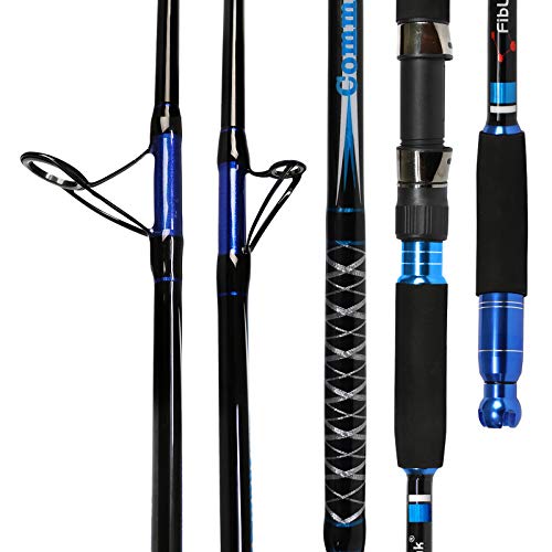 Fiblink Spinning & Casting Fishing Rod Carbon Fiber Jigging Rod 2 Piece Twin-Tip Fishing Jig Rod Portable Travel Fishing P...