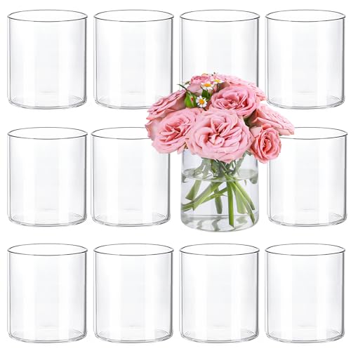 TBWIND 12pcs Small Glass Cylinder Vases for Centerpieces, 4 Inch Clear Flowers Vase for Wedding Decorations, Glass Hurrica...