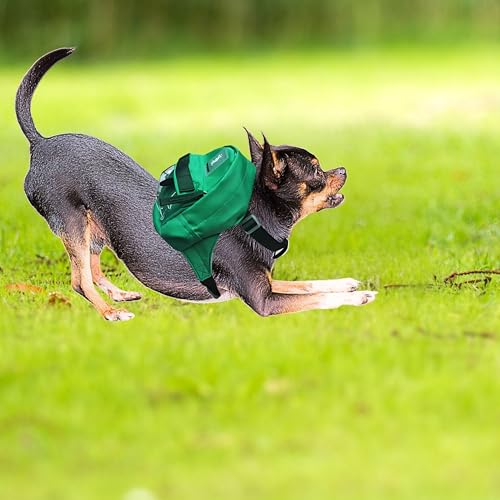 Tailtote Dogs Hiking Backpack Harness Lightweight, Adjustable, and Water-Resistant Pet Poopbag Holder for Outdoor Adventur...