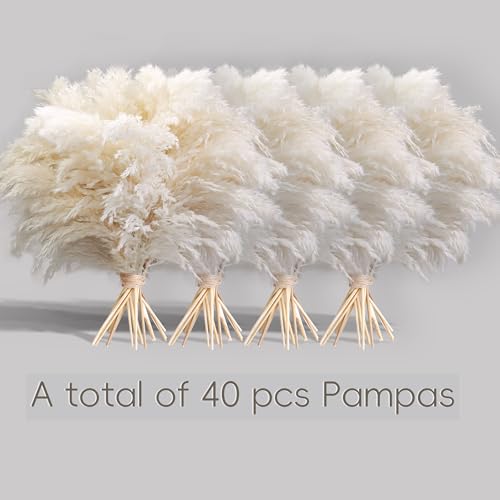 40PCS White Pampas Grass for Home Decor - Elegant Boho Decor - Premium Quality Pampas Grass Stems - Perfect for House, Nur...