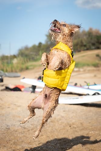 NOAH & PAW Dog Life Jacket, Human Standards Lifejacket Design, Dog Life Vest for Swimming and Boating, 3X Foam Support for...